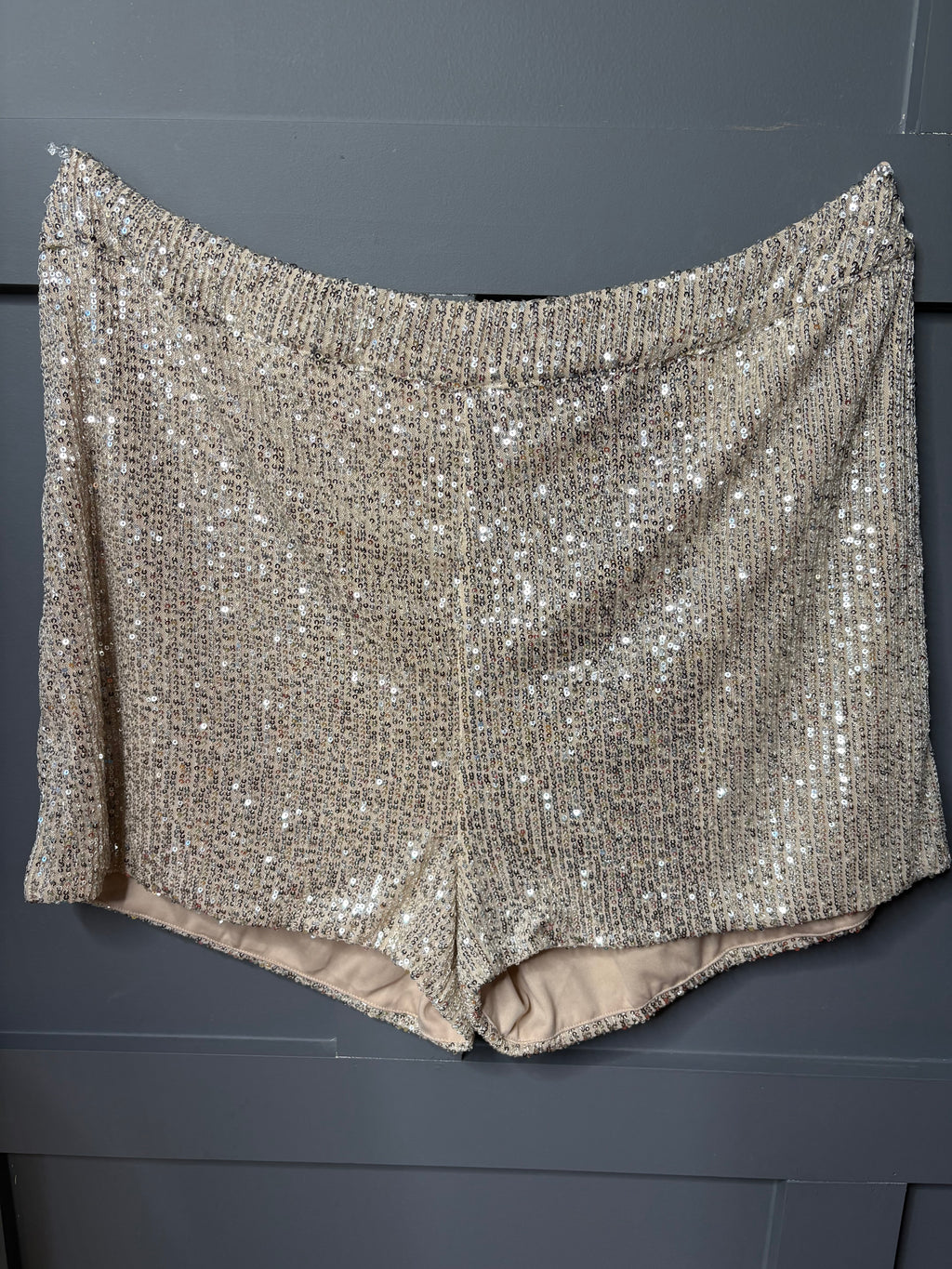 New Sequin Two Piece Short Set, 2X